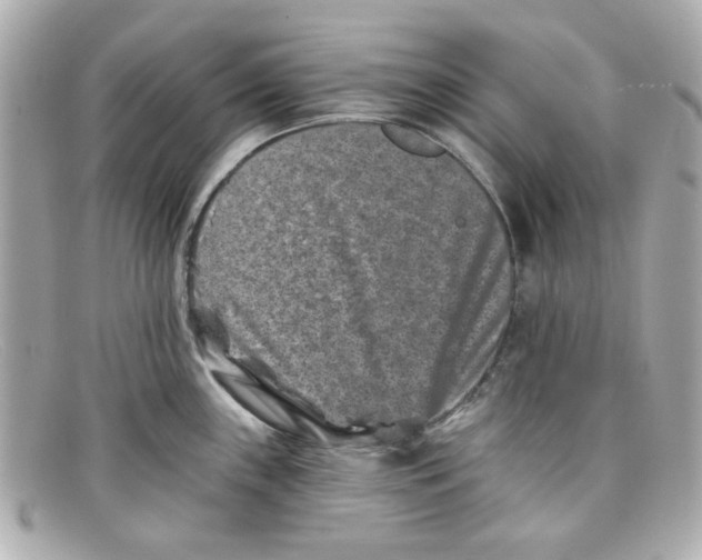 X0000097951243200804211028