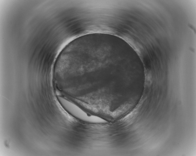 X0000097951246200804211028