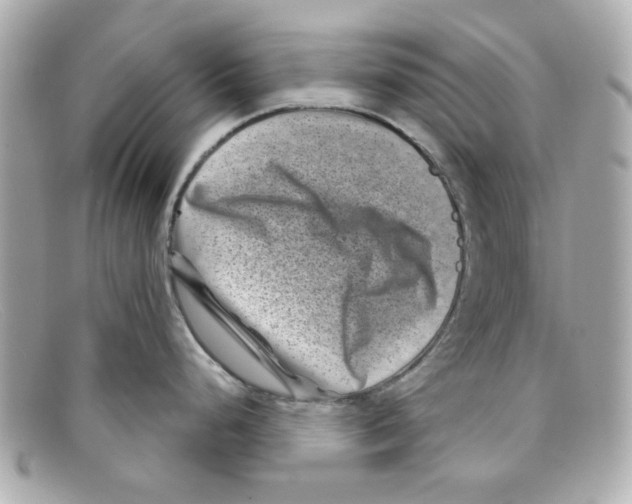 X0000097951248200804211028