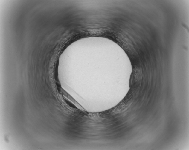 X0000097951249200804211027