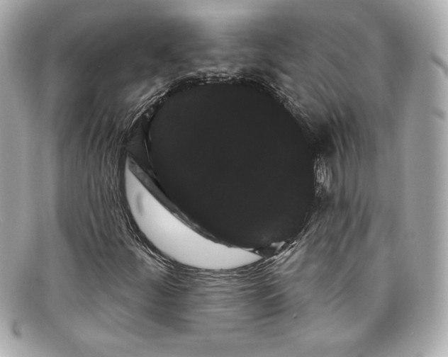 X0000097951252200804211027
