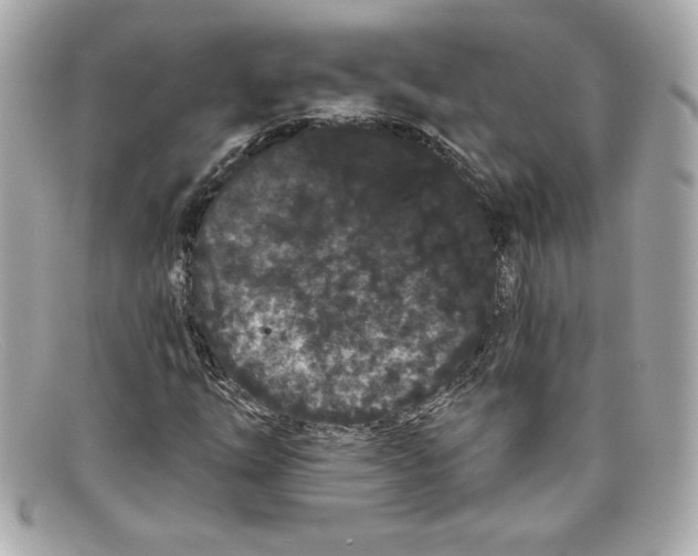 X0000097951254200804211027