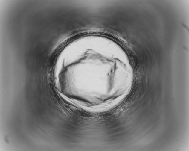 X0000097951255200804211027