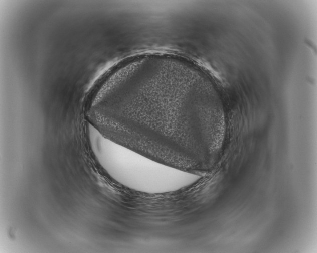X0000097951256200804211027