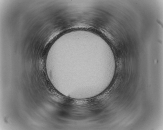 X0000097951258200804211027