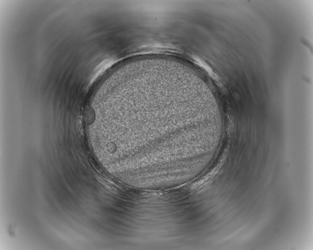 X0000097951259200804211027
