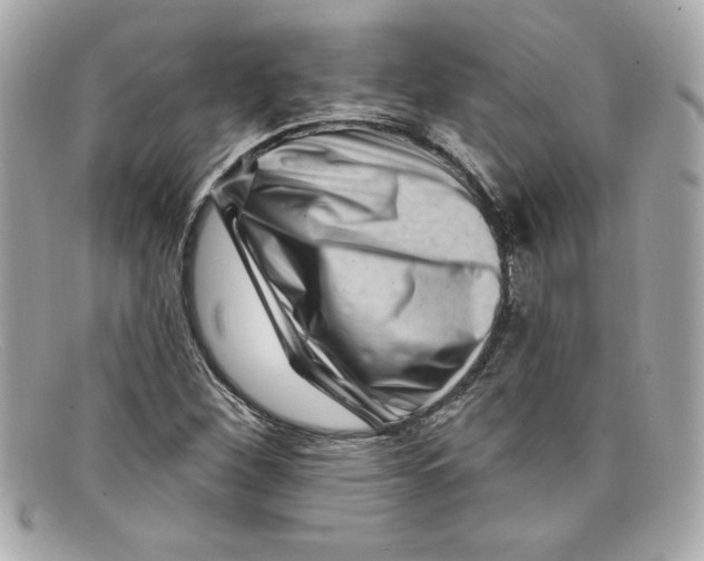 X0000097951260200804211027