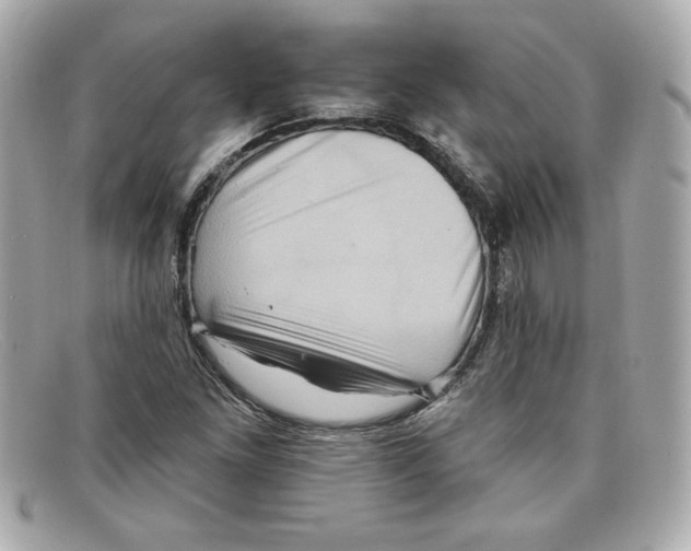 X0000097951261200804211027