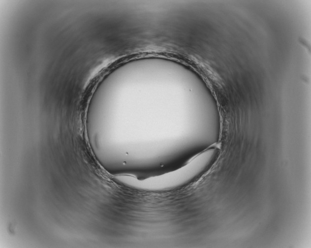 X0000097951262200804211027