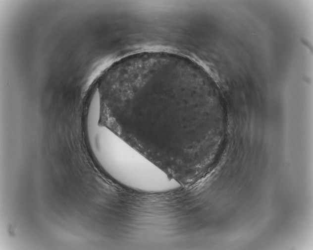 X0000097951263200804211027