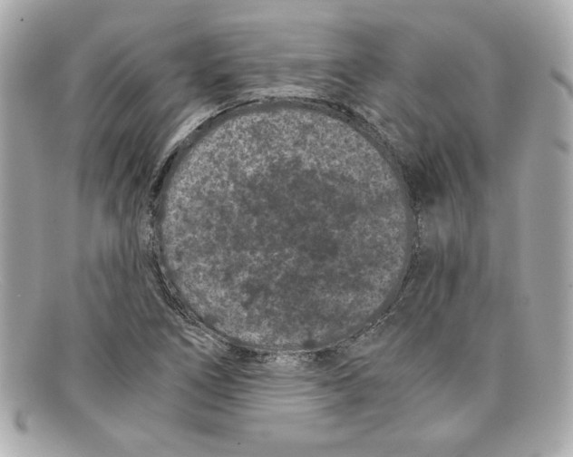 X0000097951266200804211027