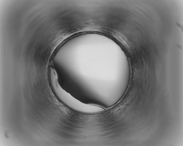 X0000097951268200804211027