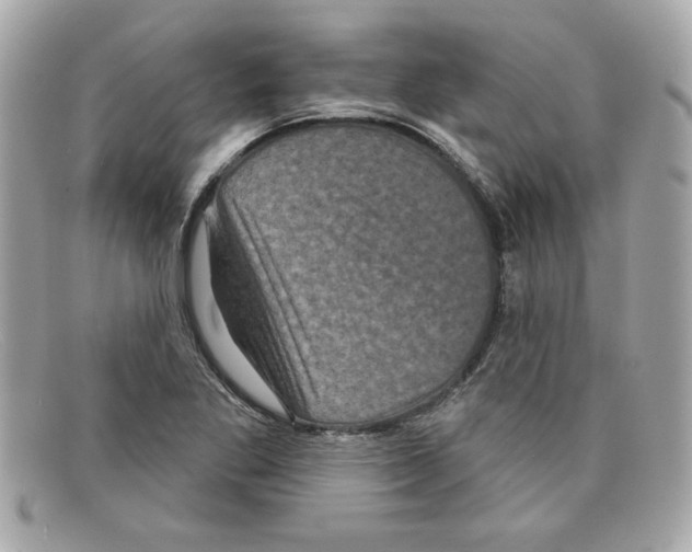 X0000097951269200804211026