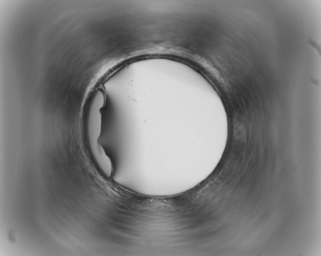 X0000097951270200804211026