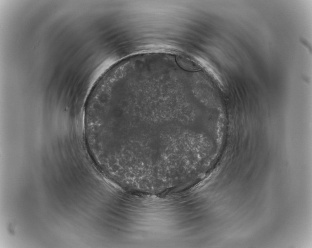 X0000097951275200804211026