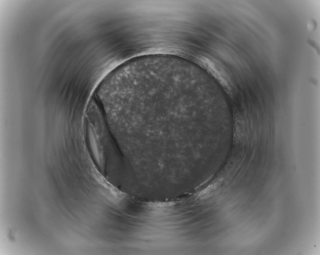 X0000097951276200804211026