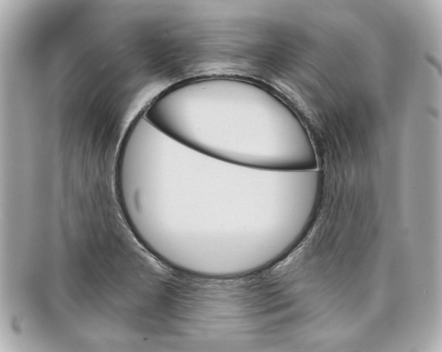 X0000097951277200804211026