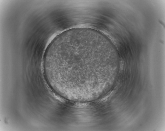 X0000097951278200804211026