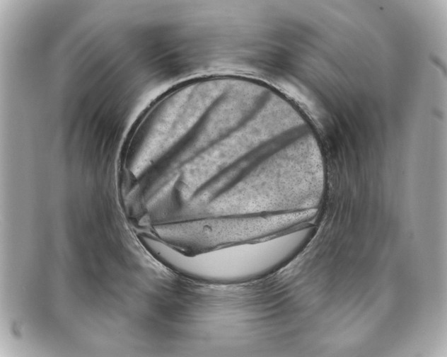 X0000097951280200804211026