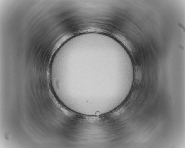 X0000097951282200804211026