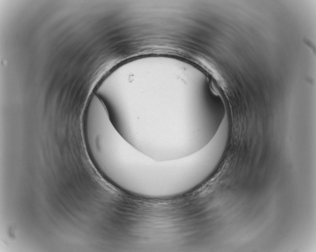 X0000097951283200804211026