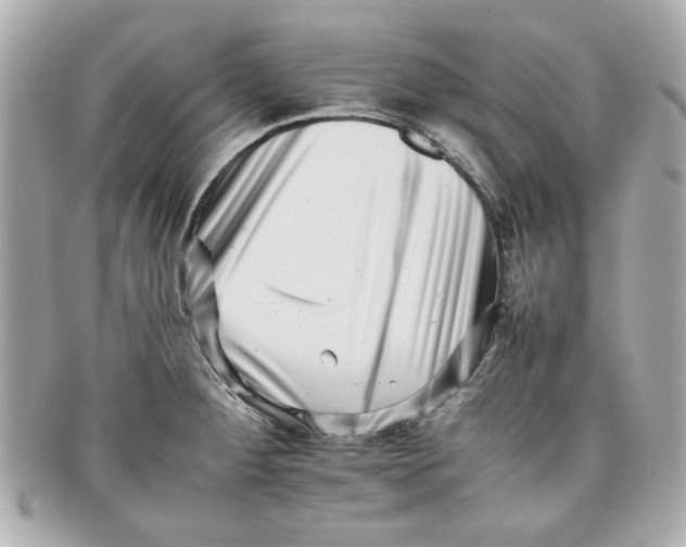 X0000097951284200804211026