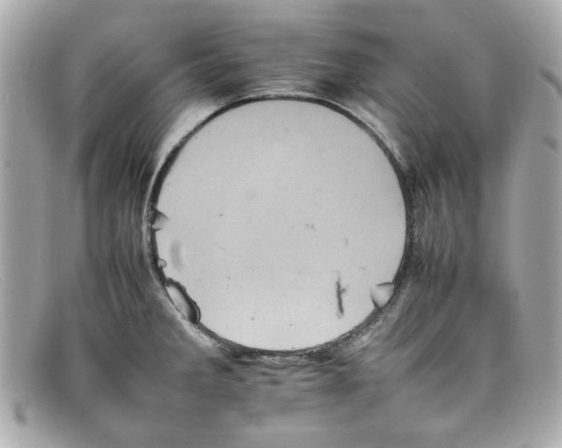 X0000097951285200804211026