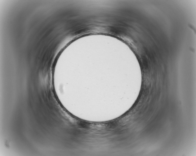 X0000097951286200804211026