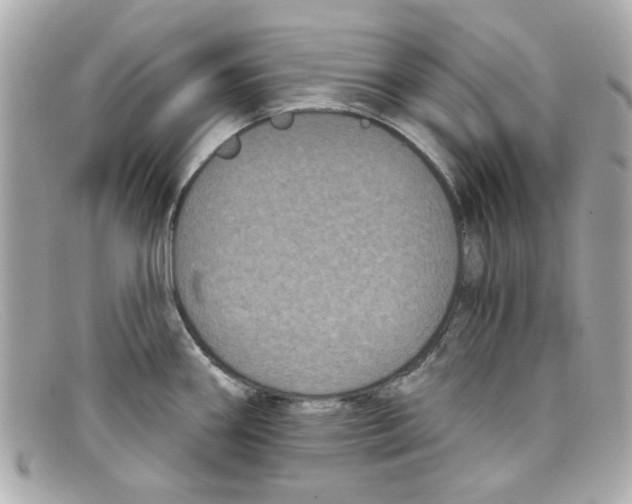 X0000097951290200804211026