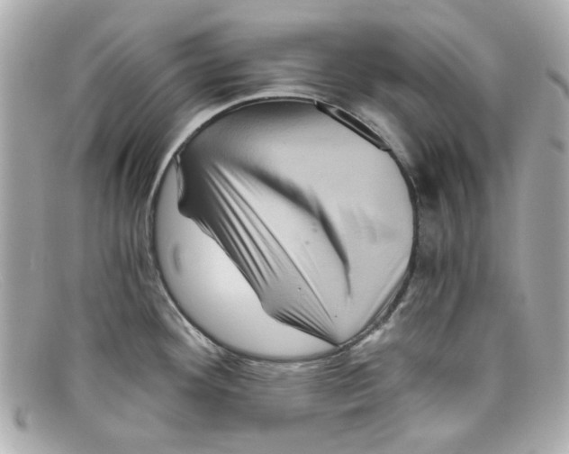 X0000097951292200804211026