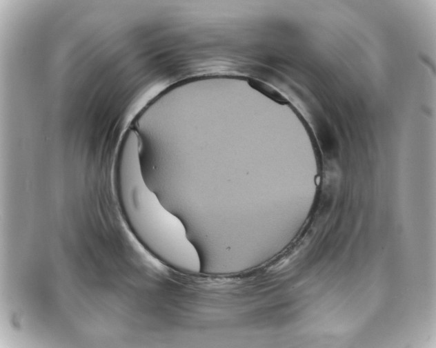 X0000097951293200804211026