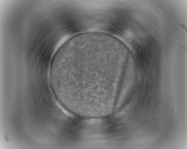X0000097951294200804211026