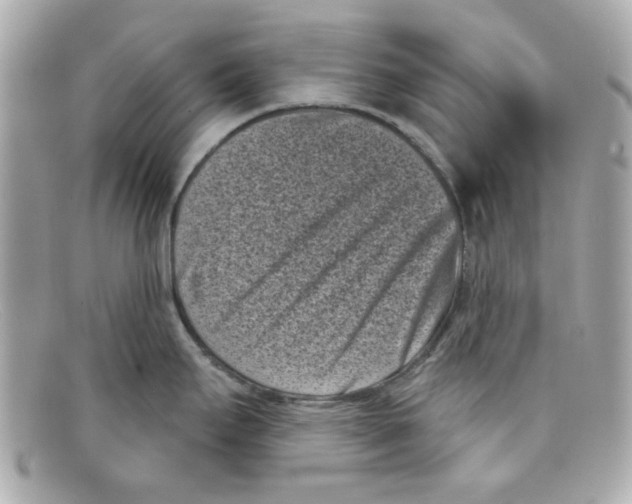 X0000097951295200804211026
