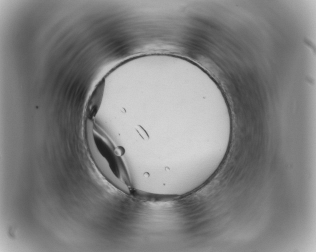 X0000097951296200804211026