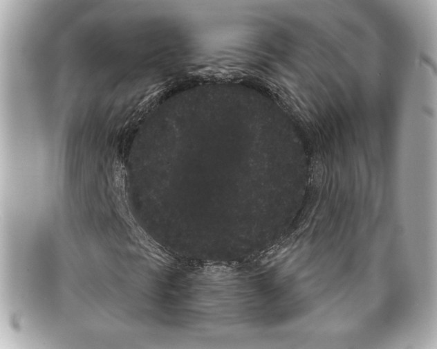 X0000097951297200804211025