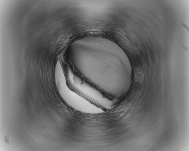 X0000097951298200804211025