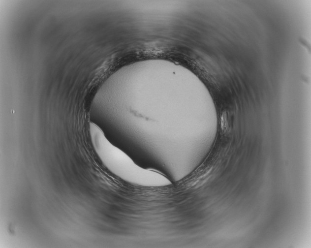 X0000097951299200804211025