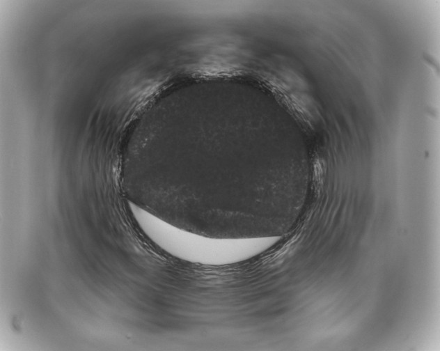 X0000097951300200804211025