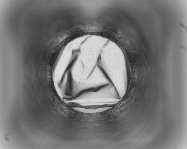 X0000097951301200804211025