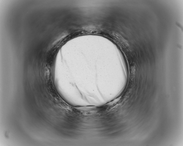 X0000097951302200804211025
