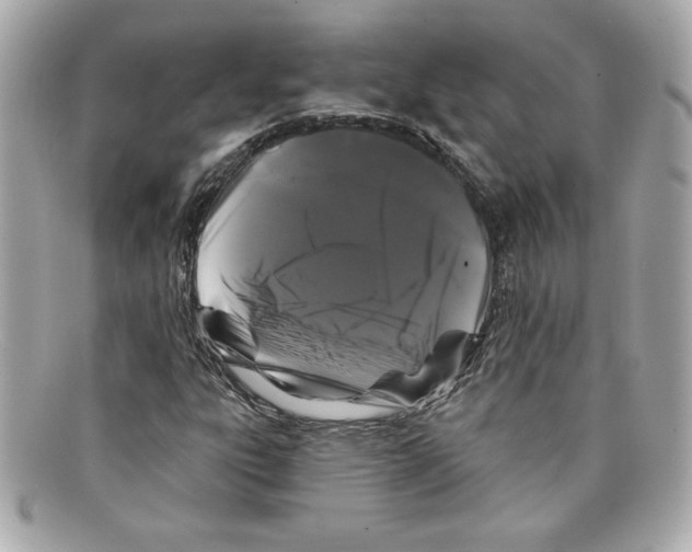X0000097951303200804211025