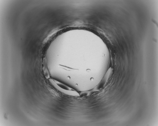 X0000097951304200804211025