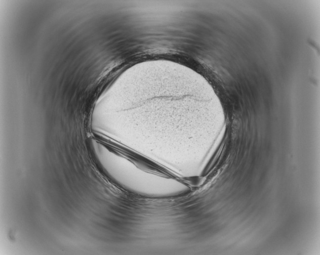 X0000097951305200804211025