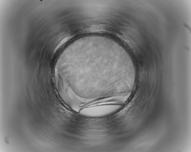 X0000097951306200804211025