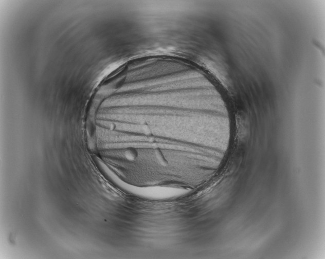 X0000097951308200804211025