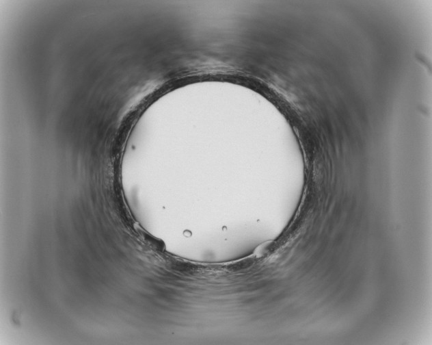 X0000097951309200804211025