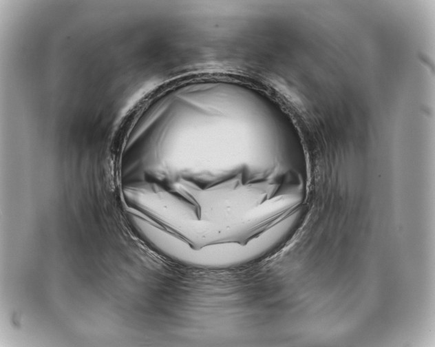 X0000097951310200804211025