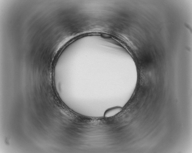 X0000097951316200804211026