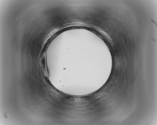 X0000097951318200804211026