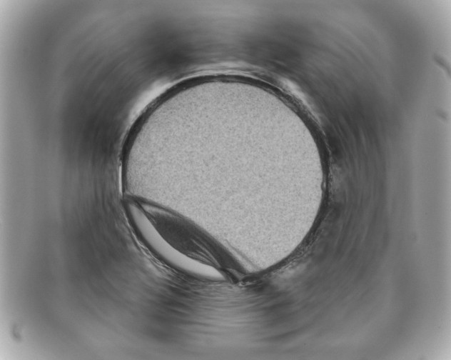 X0000097951320200804211026